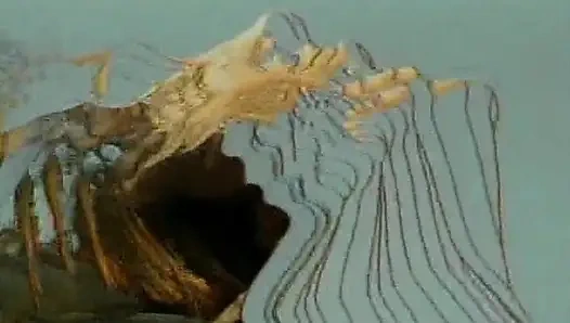 Egzotik güzellik havuz başında yarağa biniyor