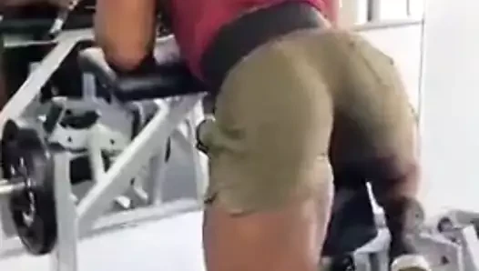 Entrenamiento rico