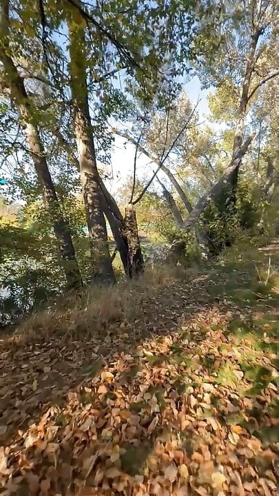 Public Masturbation Boise Idaho Greenbelt Bike Walking Trail