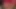 red Dildo