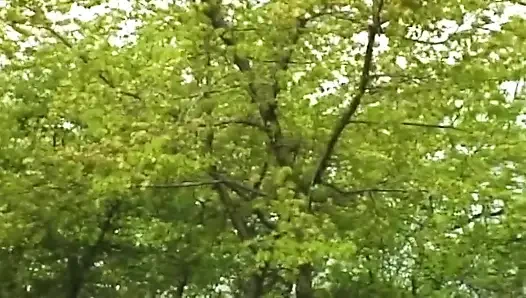 Blonde amateurin nimmt schwanz auf dach im freien