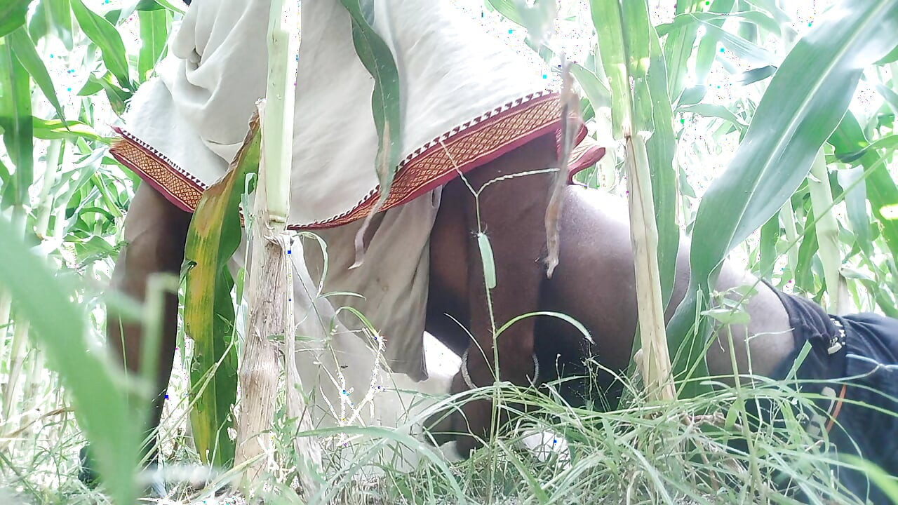 The village boy went to the cornfield and hit him hard