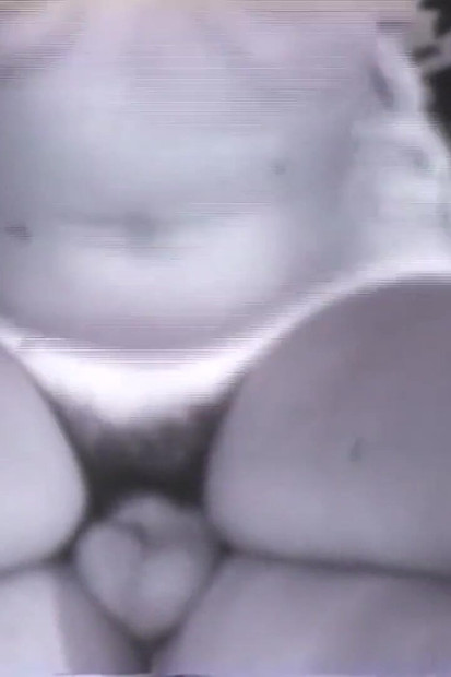 Die Lüsternen Trottel