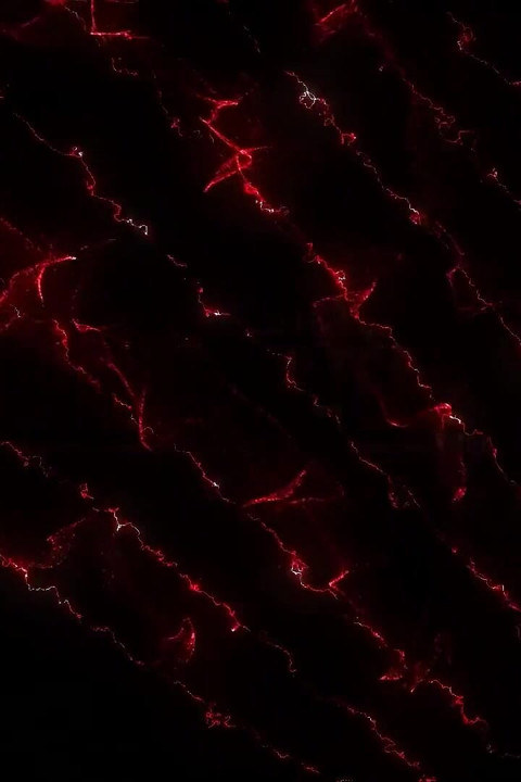 व्यभिचारी सौतेला बेटा, अपनी प्रेमिका को साझा करें