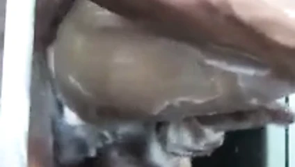 Gay