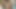 Hot Latina teen Isabel Rivera deepthroating a huge white dick POV