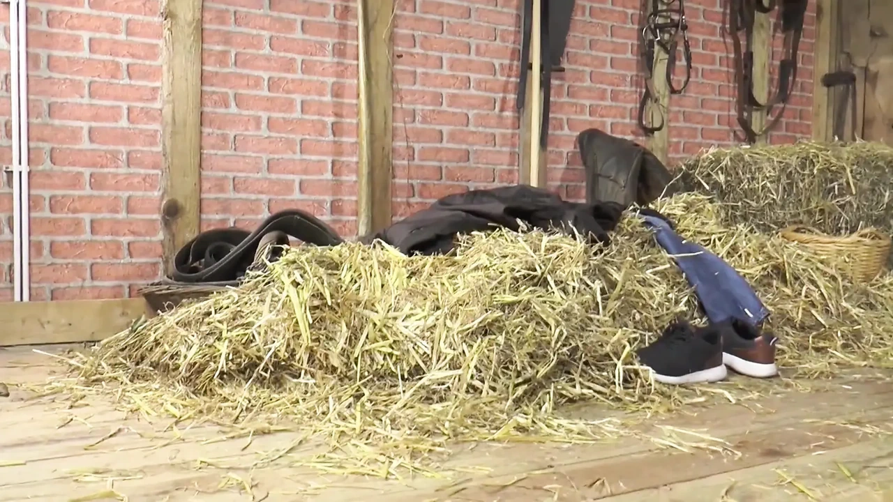 丰满的荡妇深喉壮男鸡巴并被粗暴抽插阴户和菊花!