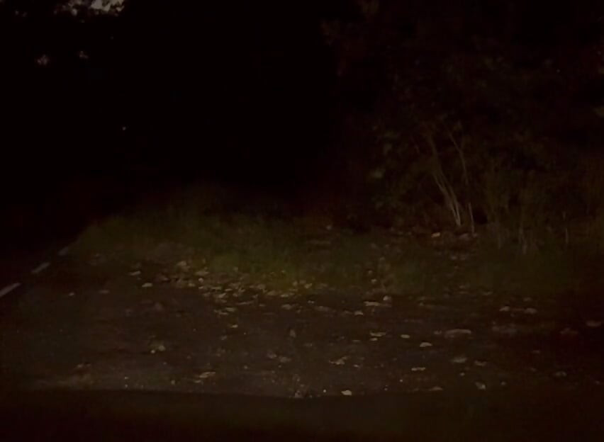 Wanking naked outside in road , few cars pass