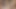 Privateblack – üvey kızkardeş bella rico bbc kardeşlerini sikiyor!