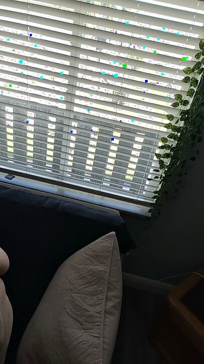 Vídeo selfie de homem trans pelado pela casa