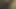 Wifes ıslak kedi oyun