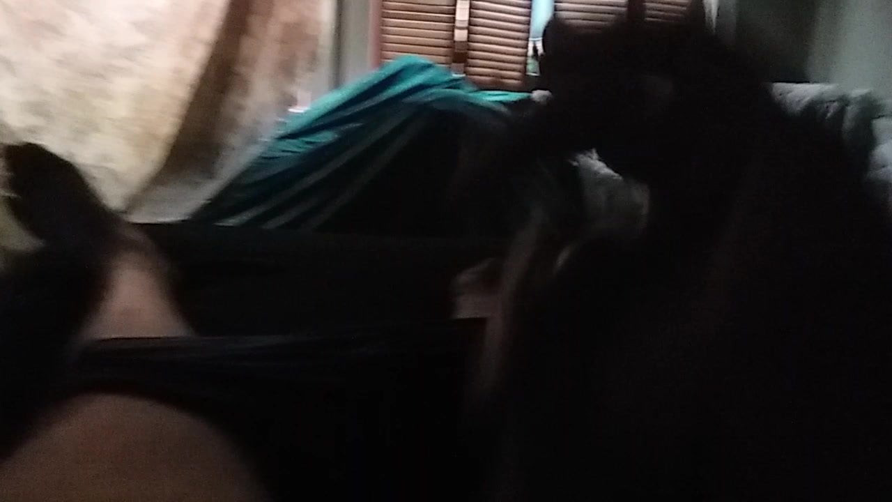 Cumblast