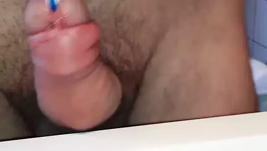 Cock37