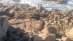 Pratinjau video