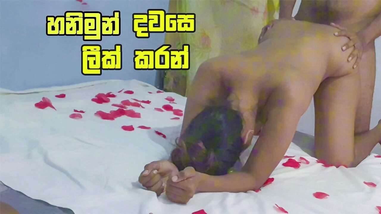 Beautiful sri lankan couple honeymoon Fuck