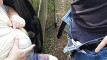 Pregled videozapisa