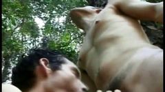 Gay stud gets hiss ass hole banged hard in the woods