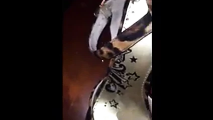 Net arkadaşıma ödünç verdiğim bir çift topuklu ayakkabı
