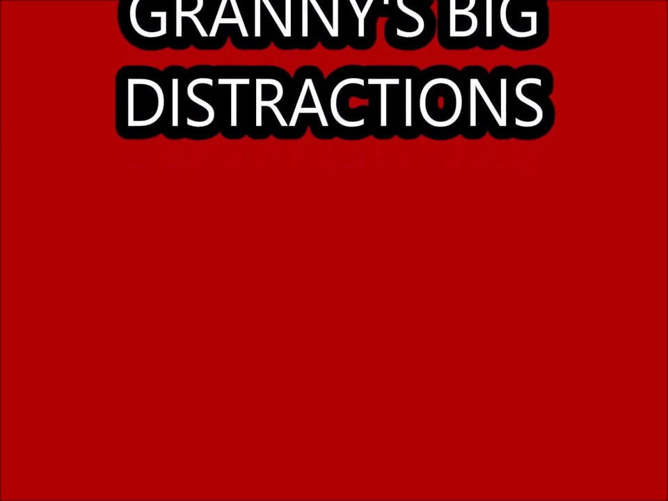 GRANNYS BIG DISTRACTIONS