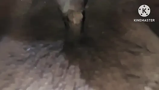 Первый секс подруги и бойфренда