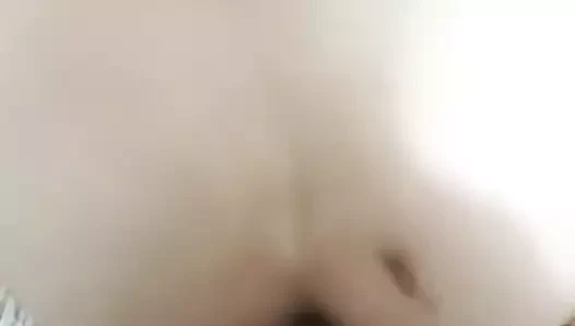 Sexi1