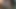 cum tributes XXII