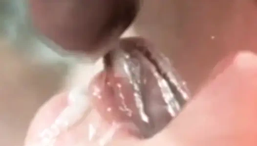 Jade muschicat klassische schönheit