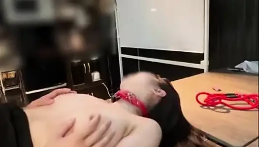 Asian Angel 27646
