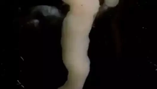 tohumlama
