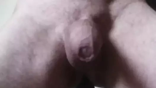 Götte dildo