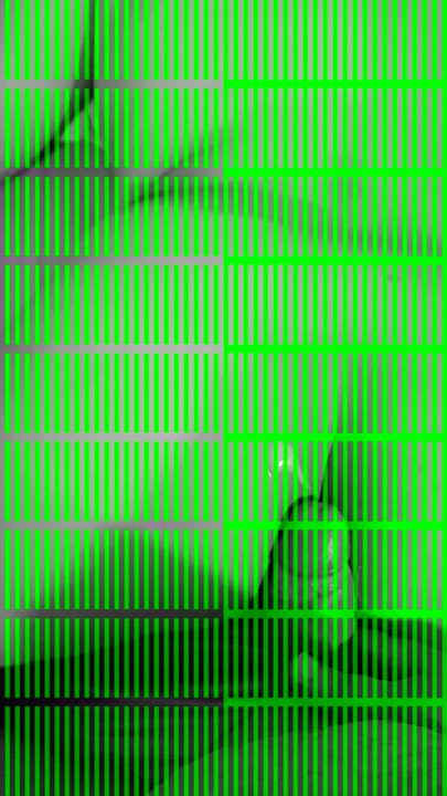 20170901 042617.mp4