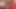 Debora teases Wellington between white lace and her deep Christmas blowjob