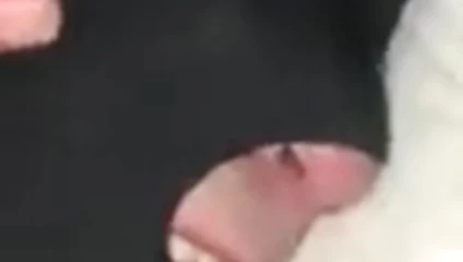 Baba beni iyi becerdin