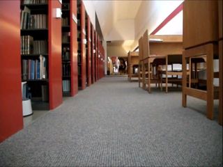 Bibliotheek uitgevoerd
