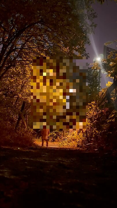Strip naked and put fishnet body stocking on , walk around wanking at roadside and caught whilst getting naked