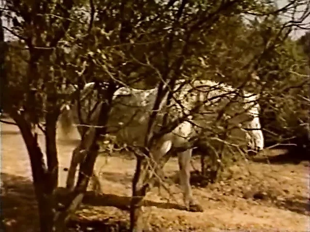 famille de lesbienne1