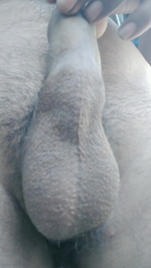 Porn premi