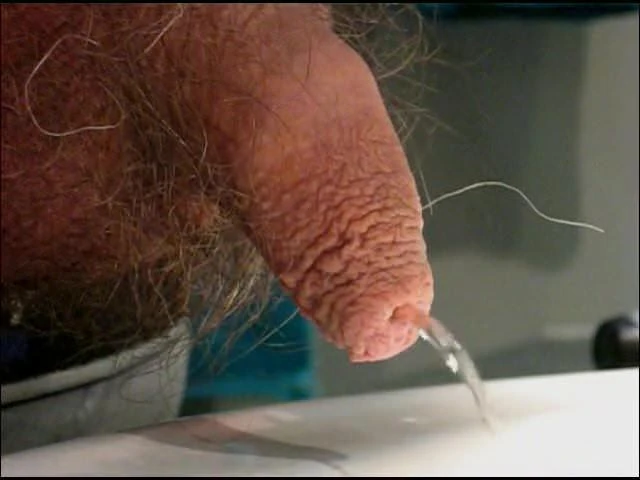 Tipitou's little soft uncut having a pee