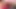 Futtanaria – hem felicia femwood hem de rachael seksi oral seks yapıyor