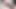 Popüler tiktok kızı abonelik için tutkuyla sik yalıyor