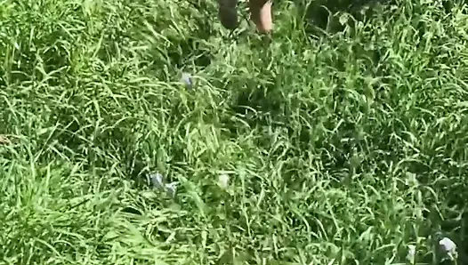 Blonde Fickt Auf Dem Feld Im Hohen Gras Und Im Heuboden, Kommt Auf Den Arsch