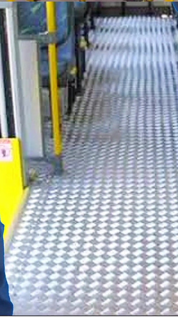 Sex Public Transport