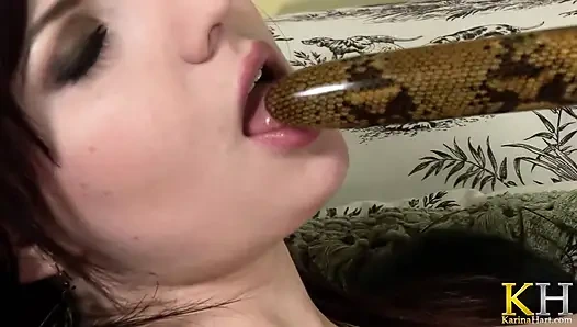 Die Definition von dicken titten