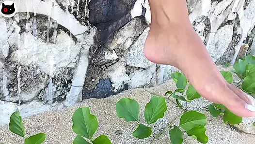 Chinese Sun Sex
