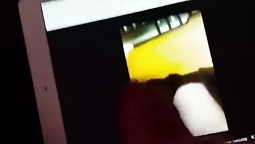 Muhteşem orkide için haraç