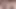 I will only Rub My Dick on your Pussy I promise! Hot stepsis let me play with her wet pussy 4K