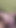 Pregnant suck a sammer cock and he he Fucked | Clip 1
