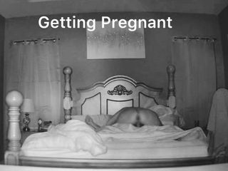 Att bli gravid