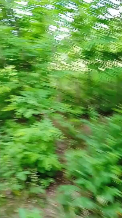 Key moment from "wank cruise. jerking off quickly in the woods until mom sees"