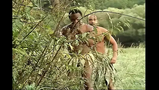 In the White Undergrowth